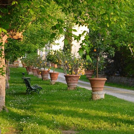 Апартаменти Ginestra Поджібонсі Екстер'єр фото